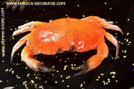 Krab XXL - 320x220 mm - Vis dummy C3 imitatie namaak
