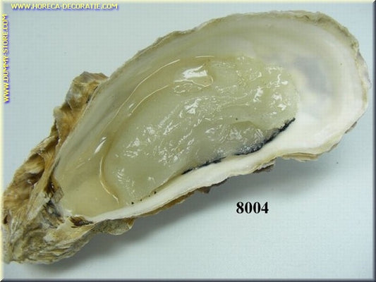 Oester (dummy) ca. 9x6x3 cm